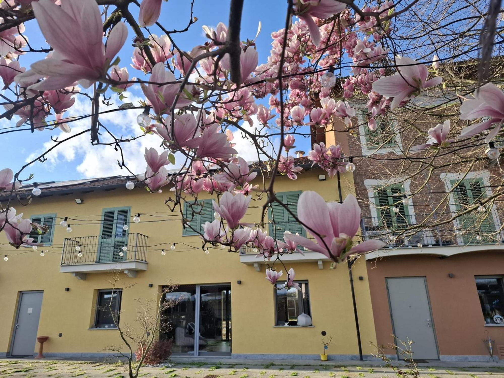 Villa Albina La Loggia Exterior photo