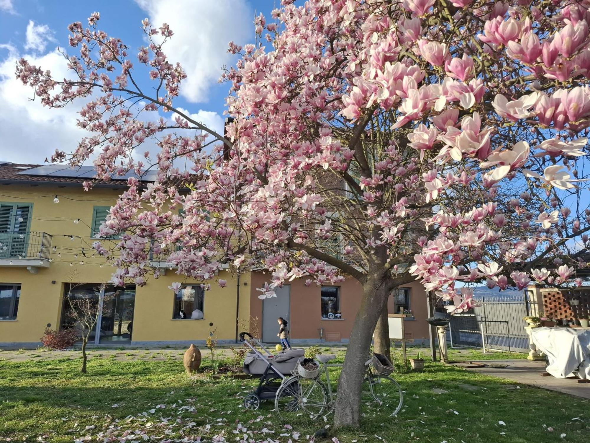 Villa Albina La Loggia Exterior photo